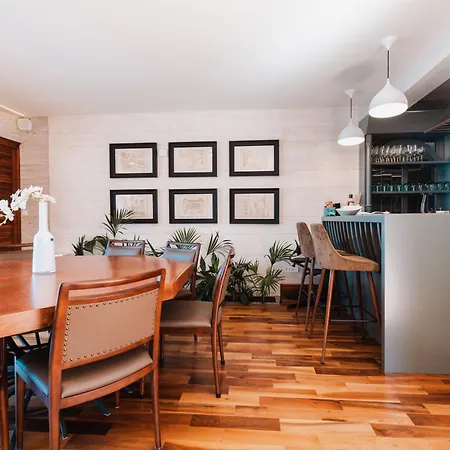 Apartment Penthouse Vinci *